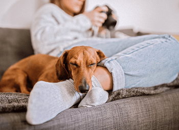 Woman sitting on couch with dog asleep at her feet